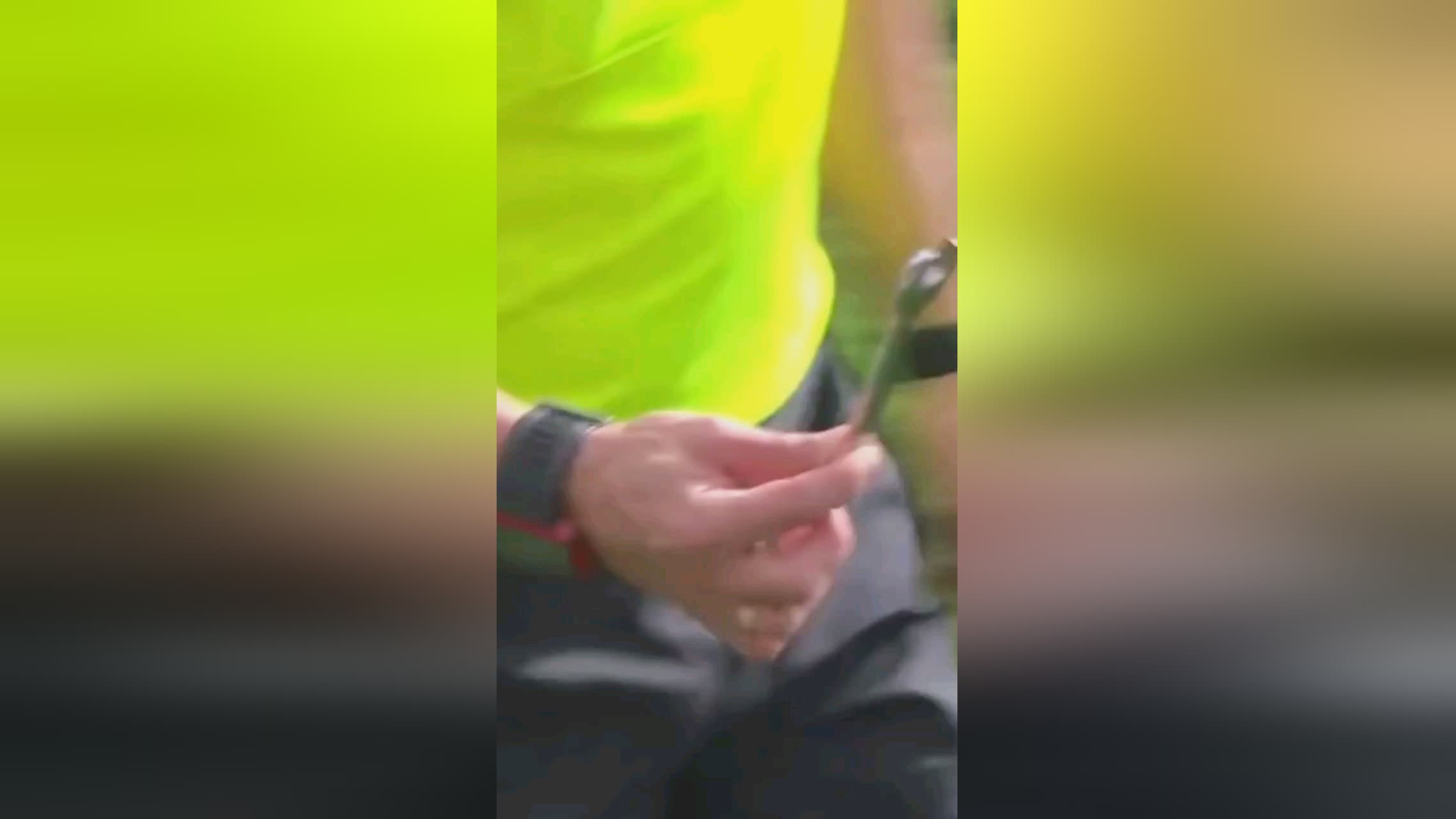 各个球员