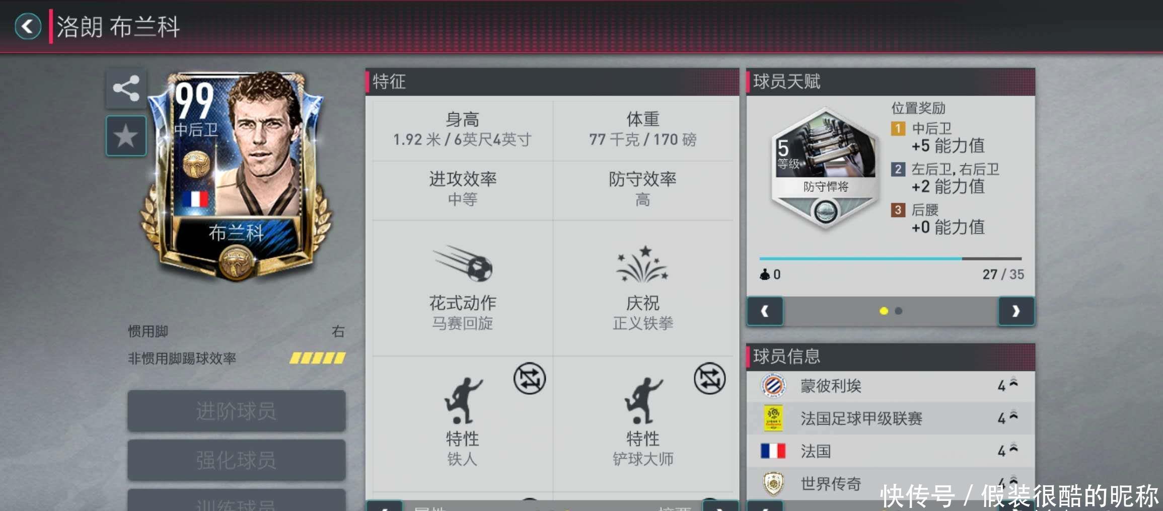 态团队